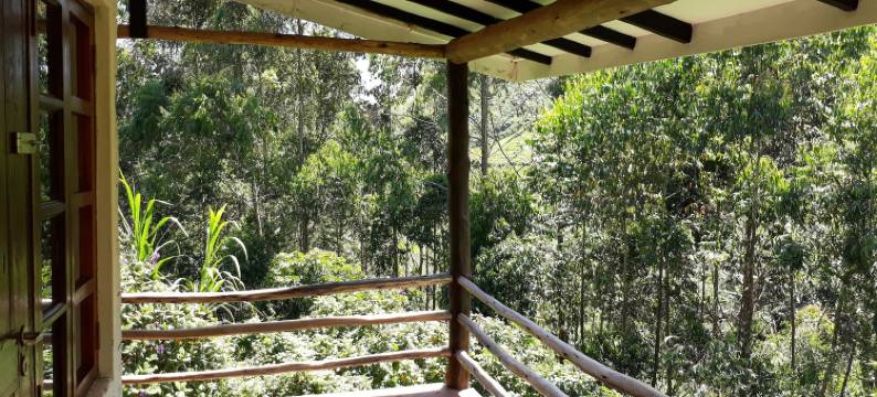 凯玛凯亚茶之小屋饭店(Kimakia Tea Cottages)图片