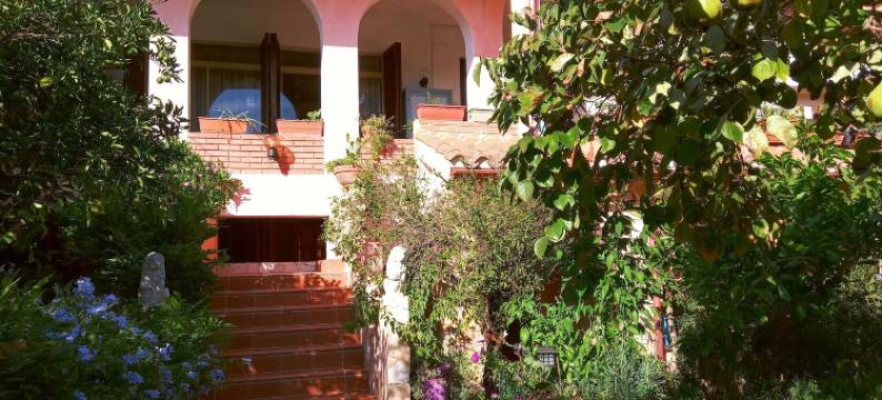 科利亚斯别墅(Villa Corrias)图片