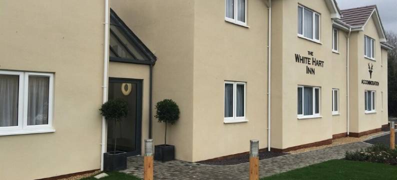 白鹿宾馆(The White Hart)图片