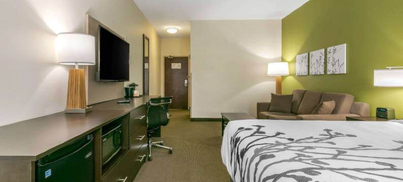 舒眠套房酒店(Sleep Inn & Suites Columbia I-65)图片