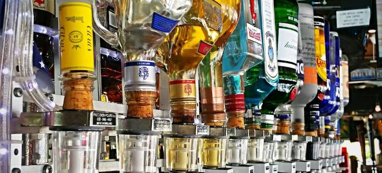 海豚钥匙度假酒店 - 珊瑚角(Dolphin Key Resort - Cape Coral)图片