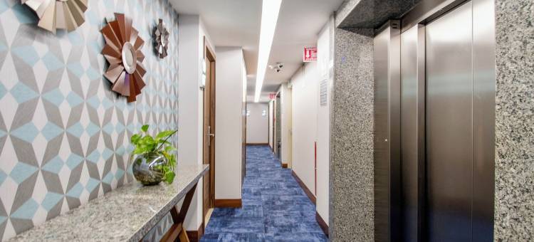 天鹅绒广场酒店(Hotel Velvet Plaza)图片