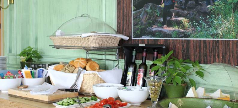 阿莱桑德斯巴德酒店(Hotel Alexandersbad)图片