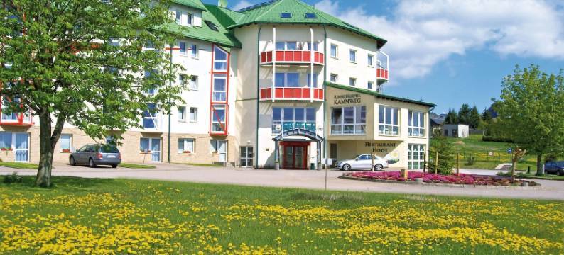 康维格酒店(Hotel Kammweg)图片