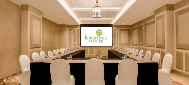 德里机场柠檬树酒店(Lemon Tree Premier, Delhi Airport)图片