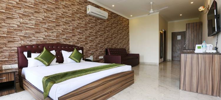 Treebo祝福钟声(Treebo Blessing Bells)图片