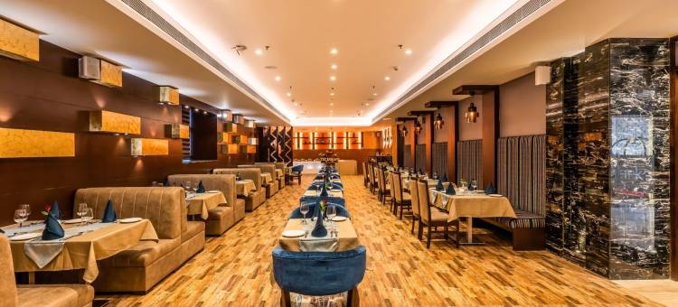 神圣克拉克套房酒店(Divine Clarks Inn Suites)图片