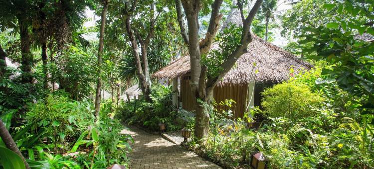 曼达拉森林溪谷别墅酒店(Mandala Spa & Resort Villas)图片