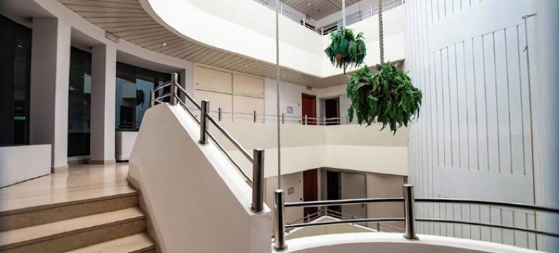 瑟琳娜酒店(Hotel Sirena - B&B e Cucina)图片