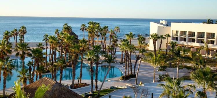 洛斯卡波斯天堂全包式度假村 – 限成人(Paradisus Los Cabos - Adults Only)图片