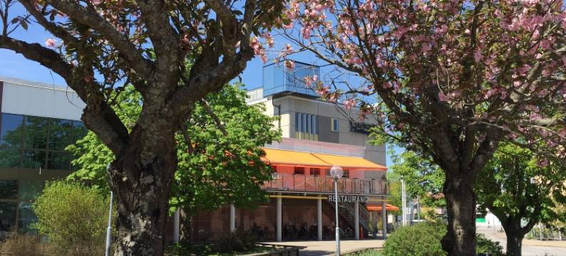 湖灵格酒店(Hotell Hulingen)图片