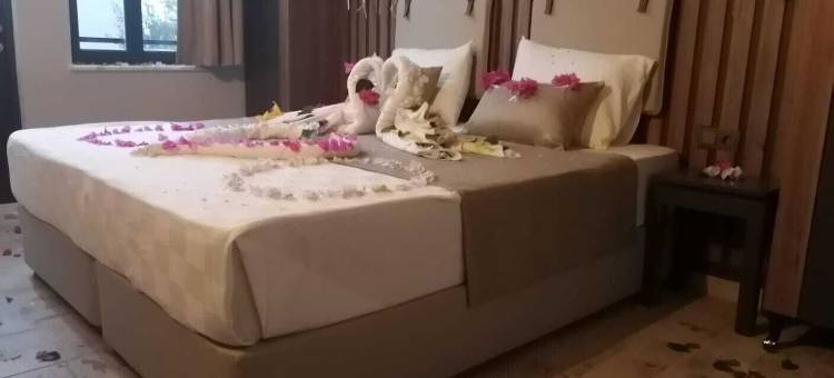OLIVIA酒店(OLİVİA HOTEL)图片