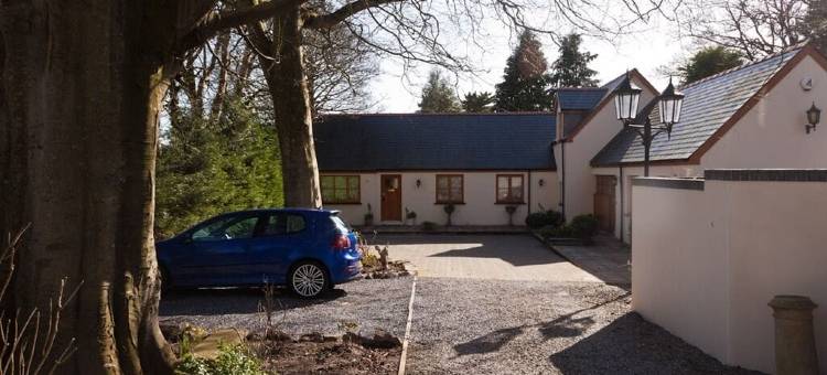 红色小公鸡住宿温泉酒店(Little Red Rooster Rest and Spa)图片