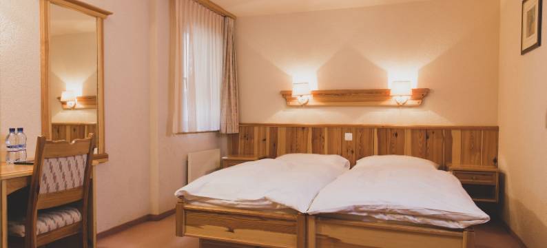 岳罗普酒店(Hotel Europe)图片