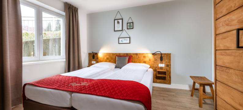 拜德巴特霍夫加施泰因浴场阿尔卑斯山公园公寓酒店(AlpenParks Residence Bad Hofgastein - Gratis Thermeneintritt)图片