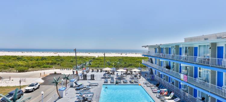 奥岛海滩度假酒店(Olympic Island Beach Resort)图片