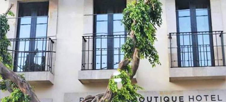 奥赛罗精品酒店(Othelo Boutique Hotel Mexico)图片