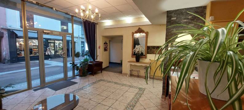 帕莱斯酒店(Hôtel du Palais)图片