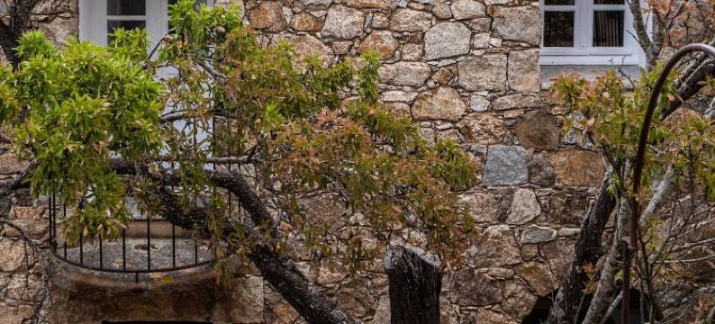 安吉利之家旅馆(Casa di Angeli)图片