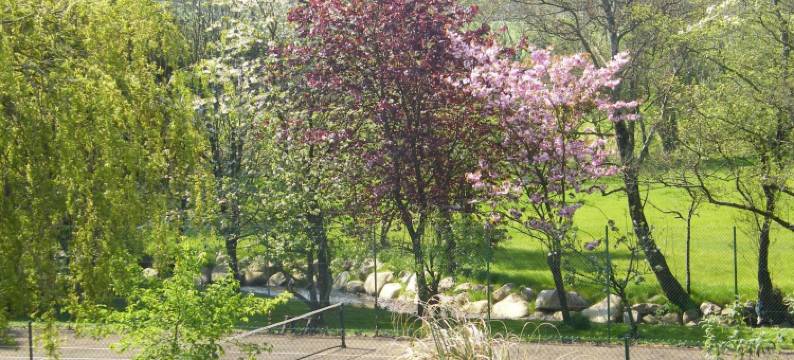 河畔原野民宿(Riverfield Bed and Breakfast)图片