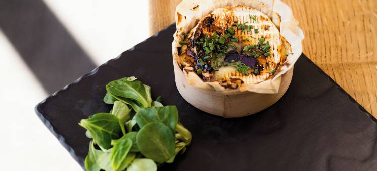 诺富特巴约酒店(Novotel Bayeux)图片