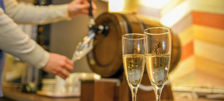 新盖亚酒店-柳川(Hotel New Gaea Yanagawa)图片