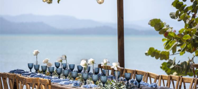 泽米米切斯蓬塔卡纳全包度假村，希尔顿Curio精选(Zemi Miches Punta Cana All-Inclusive Resort, Curio Collection by Hilton)图片