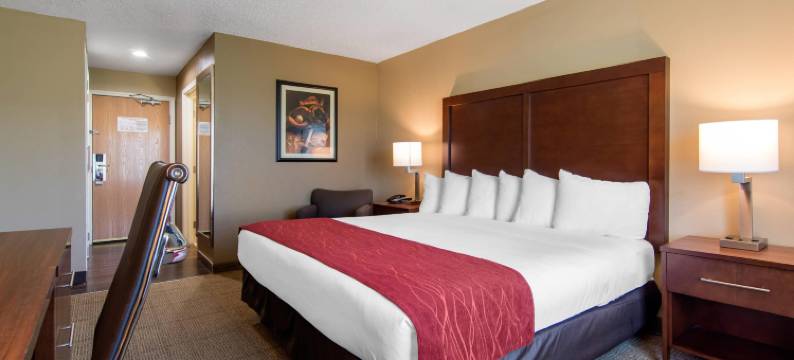 舒适酒店及套房库珀斯敦 / 米尔福德(Comfort Inn & Suites Milford / Cooperstown)图片