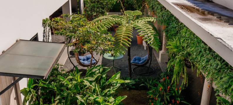 安提瓜好酒店(Good Hotel Antigua)图片