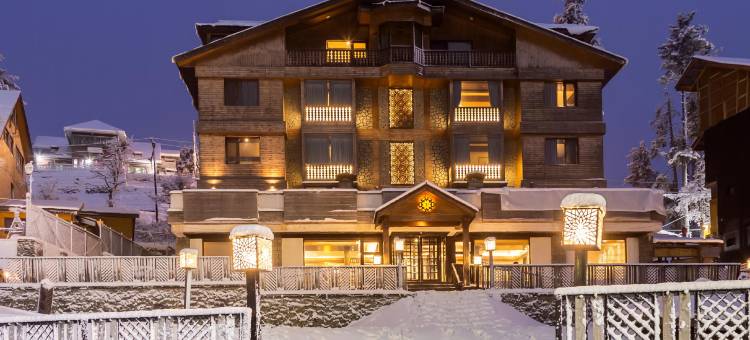 复古贡马酒店(The Vintage Gulmarg)图片