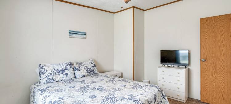 距霍莫萨萨泉公园5英里的带院子之家！(5 Mi to Homosassa Springs Park: Home w/ Yard!)图片