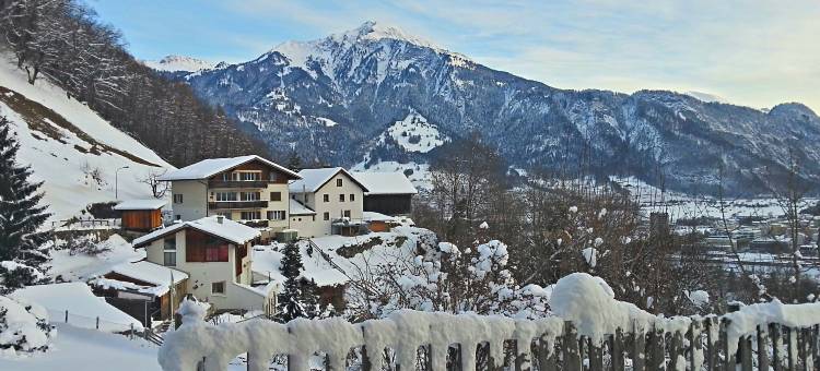 Apartment near Pizol图片