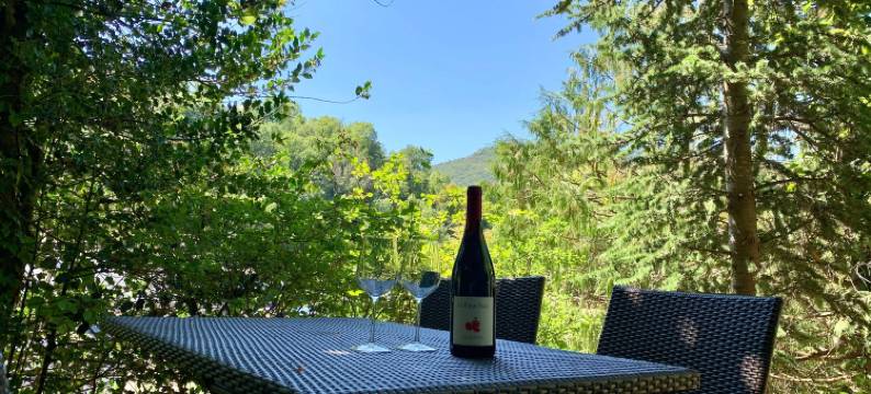 Villa in Saint-Nectaire near Ski Slopes图片