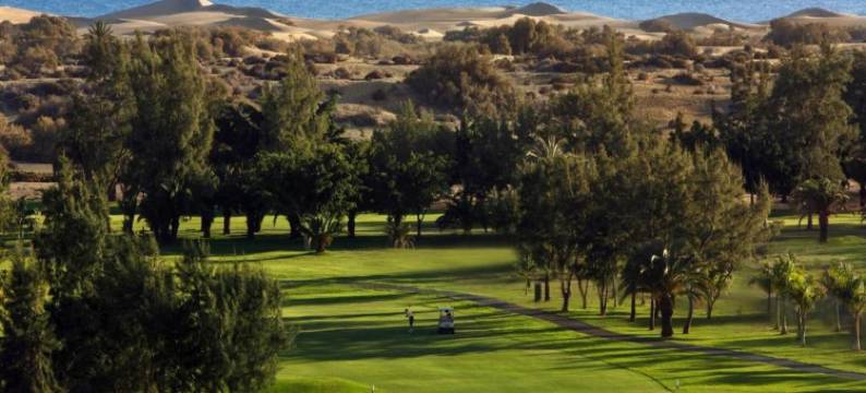 Apartment in Gran Canaria near Maspalomas Dunes图片