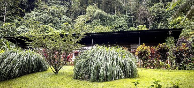 库野纳亚马逊旅馆(Kuyana Amazon Lodge)图片
