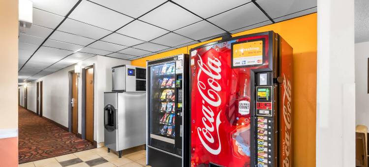 邓弗里斯-匡蒂科速8酒店(Super 8 by Wyndham Dumfries/Quantico)图片