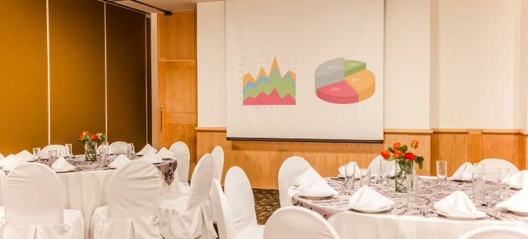 萨尔蒂洛嘉年华酒店(Fiesta Inn Saltillo)图片