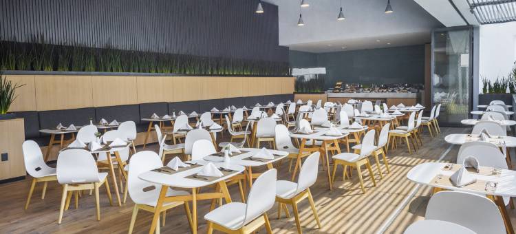 Holiday Inn 莫雷利亚(Holiday Inn MORELIA by IHG)图片