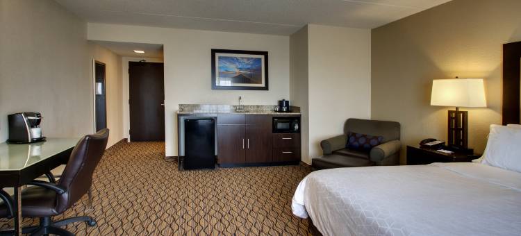 Holiday Inn Express 巴尔的摩 - BWI机场西(Holiday Inn Express BALTIMORE-BWI AIRPORT WEST by IHG)图片