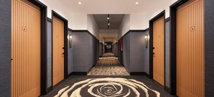 罗斯游戏度假村(The Rose Gaming Resort)图片