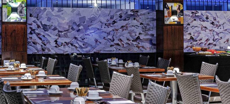 诺富特圣保罗雅尔丁酒店(Novotel São Paulo Jardins)图片