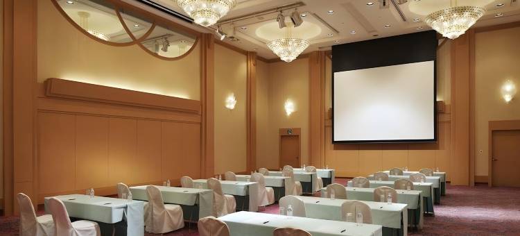 神户三田希莱顿高级酒店(The Celecton Premier Kobe Sanda Hotel)图片