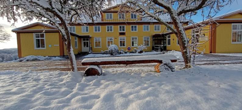 隆斯基勒酒店及会议中心(Ljungskile Hotell & Konferens)图片