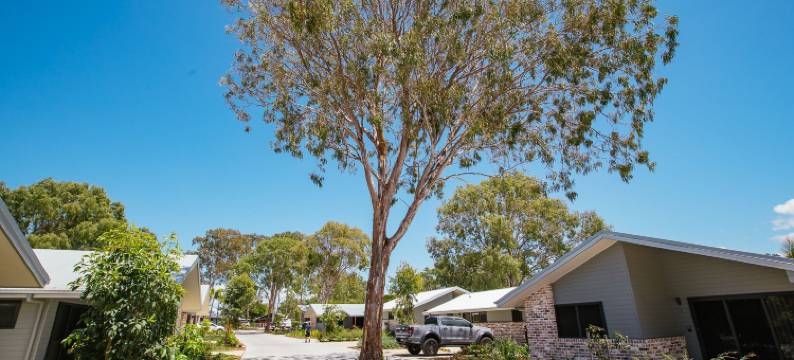 比格 4 沙石岬假日度假村(Big4 Sandstone Point Holiday Resort Bribie Island)图片