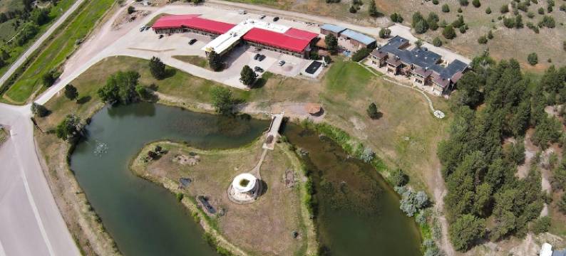 纽卡斯尔温德姆速8酒店(Super 8 by Wyndham Newcastle)图片