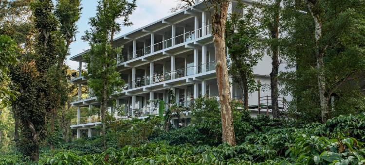 Itsy酒店贾玛班小屋(Itsy Hotels Jammabane Cottage, 5 Minutes to Mountain View Coffee Plantation)图片