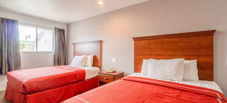 OYO 经济型旅馆法尔弗里亚斯281号公路(OYO Budget Inn Falfurrias Hwy 281)图片