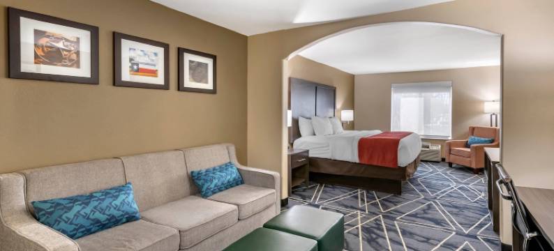 舒适套房酒店(Comfort Inn & Suites)图片