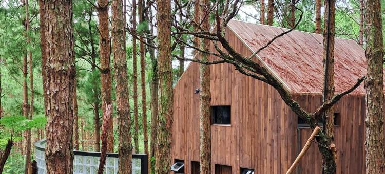 Mơ住宿-森林度假村(Mo Stay - Forest Resort)图片