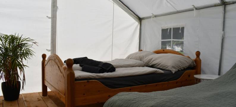 维也纳阿尔卑斯山的野外豪华露营(Wild Glamping in the Vienna Alps)图片